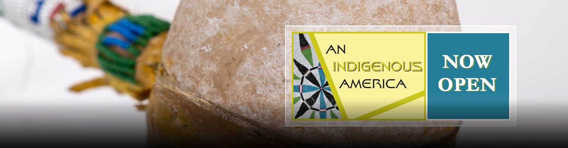 An Indigenous America