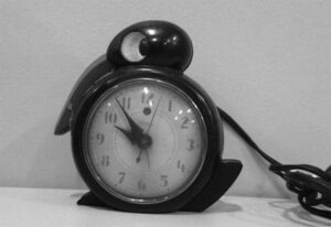 Quacker Clock